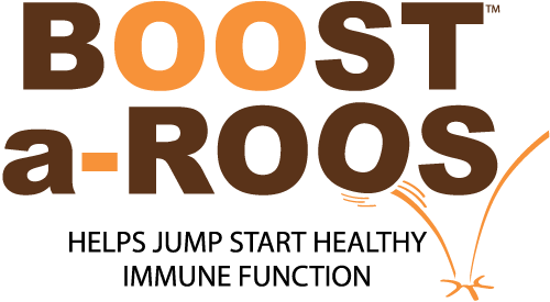 Boost-A-Roos Chocolate Cookie Dough